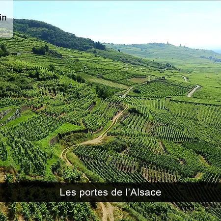 Appartement, Nature, Relaxation Et Demi-pension Possible Apartment Crevic